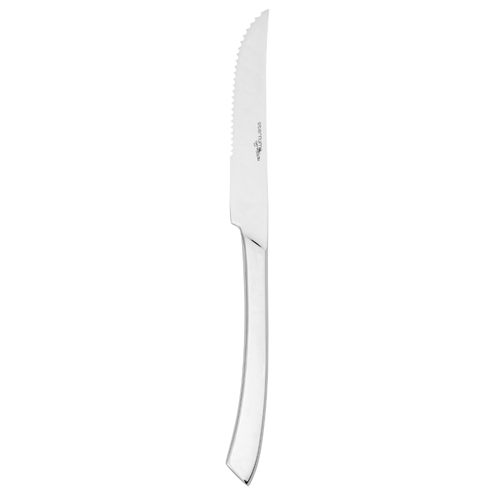 ETERNUM Alinea – Steakový nôž 248 mm