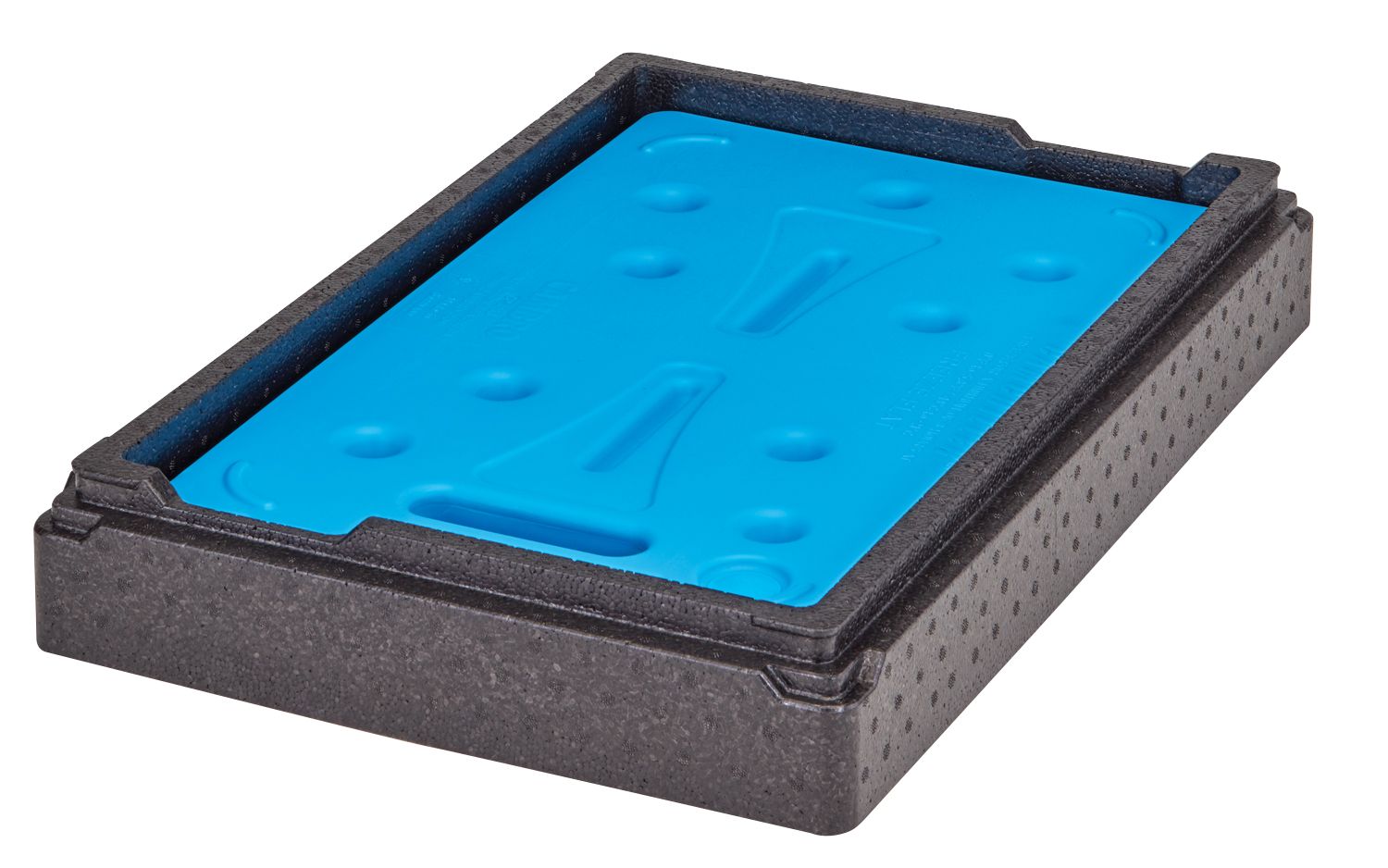 Adaptér pre chladiacu vložku Camchiller GN 1/1, Cambro, Čierna, 600 × 400 × 87 mm | EPPCTS110