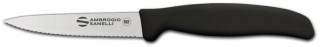 Odkosťovací nôž Supra, Ambrogio Sanelli, 210 mm | S683.009