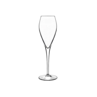Atelier pohár na šumivé víno 20 cl