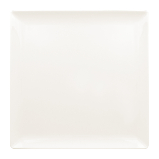 RAK Tanier plytký štvorcový 30 cm | RAK-EDSQ30IV