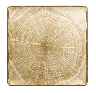 RAK Woodart tanier štvorcový 30 × 30 cm – machovo zelená | RAK-WDEDSQ30MG