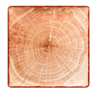 RAK Woodart tanier štvorcový 30 × 30 cm – svetlo hnedá | RAK-WDEDSQ30TB