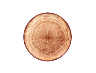 RAK Woodart tanier dezertný coupe 15 cm – svetlo hnedá | RAK-WDNNPR15TB