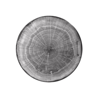 RAK Woodart tanier plytký coupe 24 cm – šedá | RAK-WDNNPR24BG