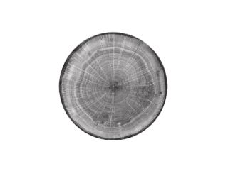 RAK Woodart tanier plytký coupe 27 cm – šedá | RAK-WDNNPR27BG