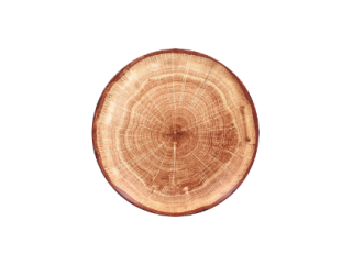 RAK Woodart tanier plytký coupe 27 cm – svetlo hnedá | RAK-WDNNPR27TB