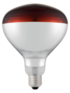 Infračervená ohrevná žiarovka, HENDI, Červená, 230V/250W, ⌀125x(H)170mm